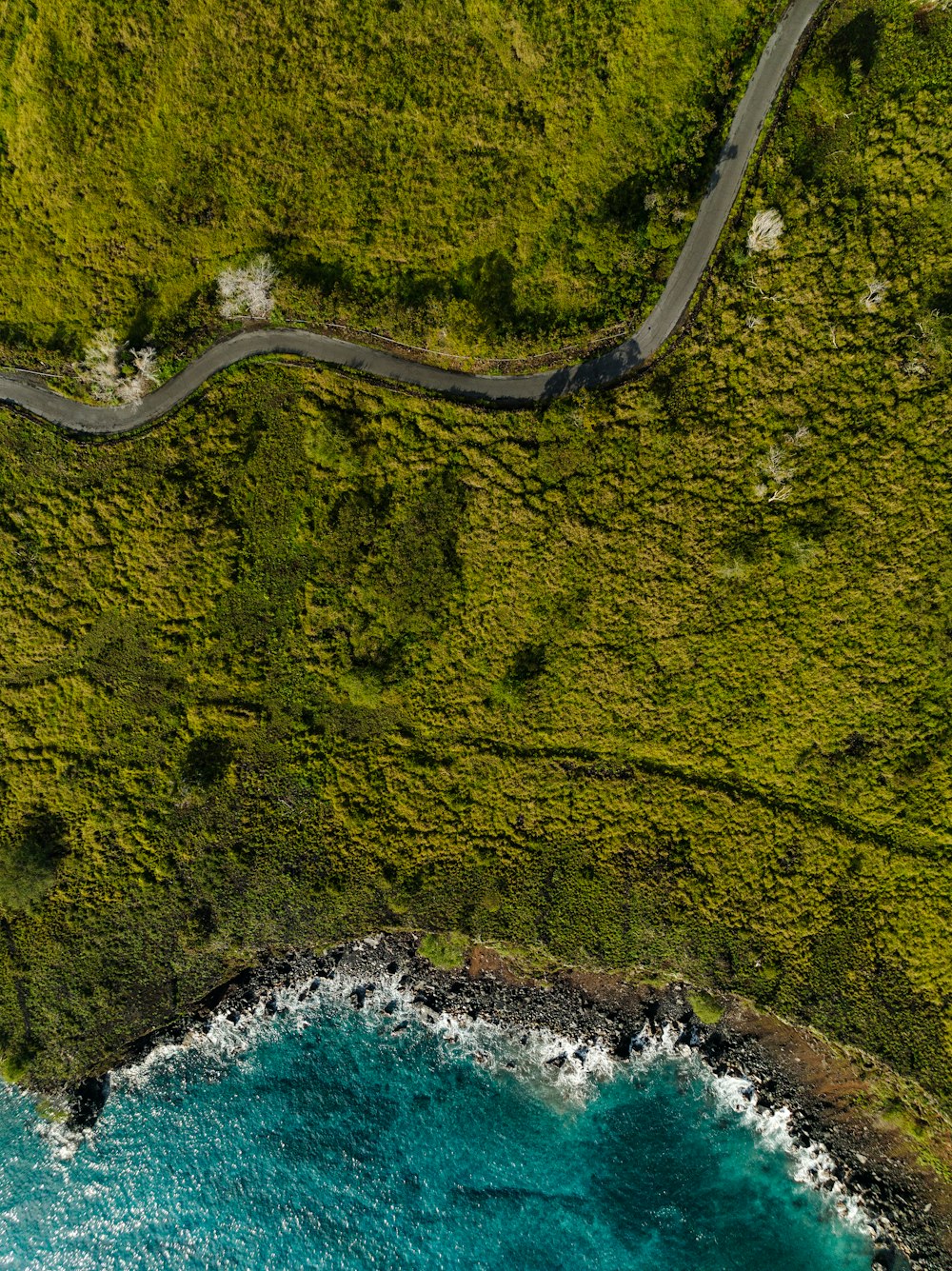 an aerial view of a winding road next to the ocean