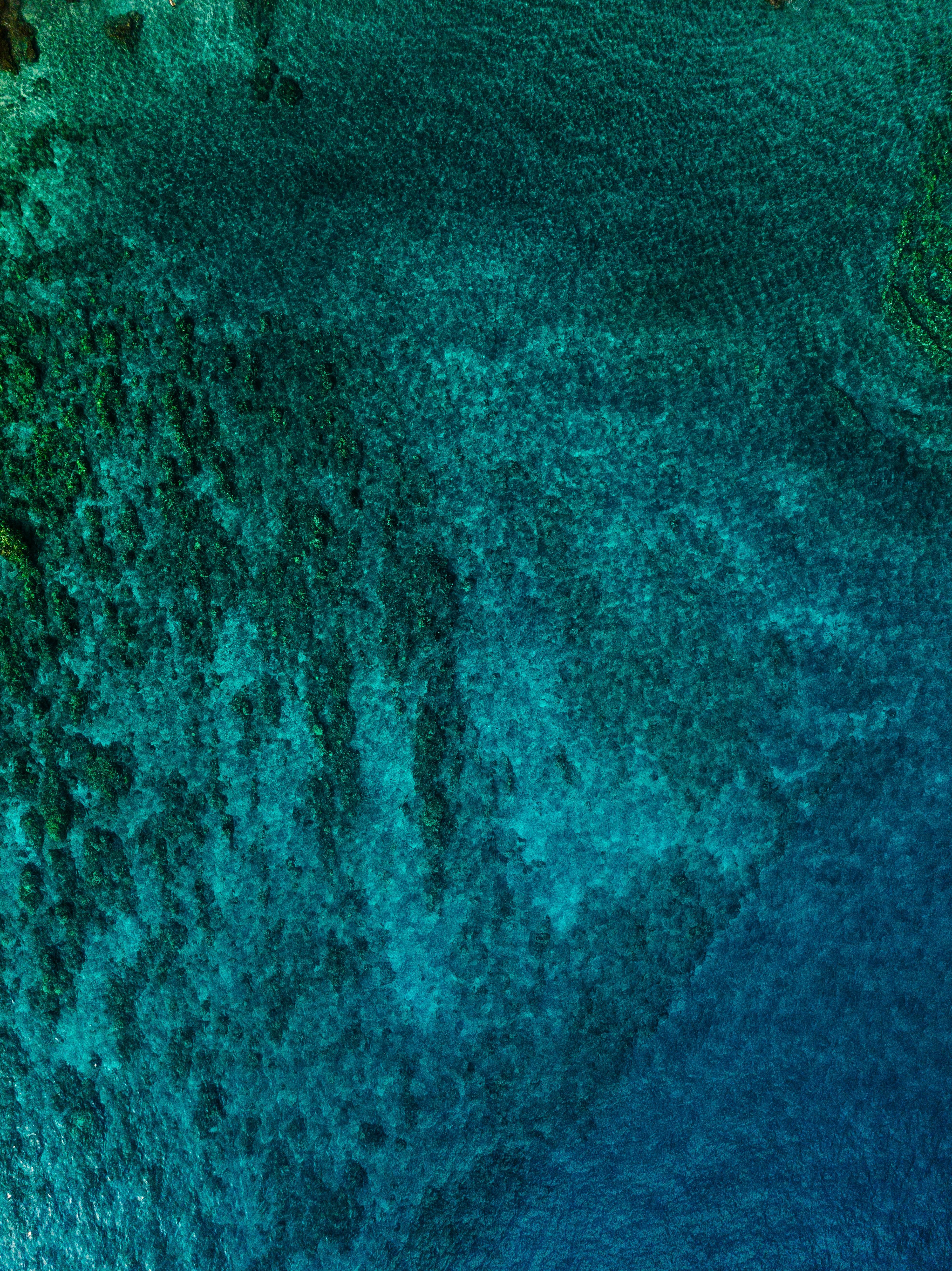 Photo by joshwithers