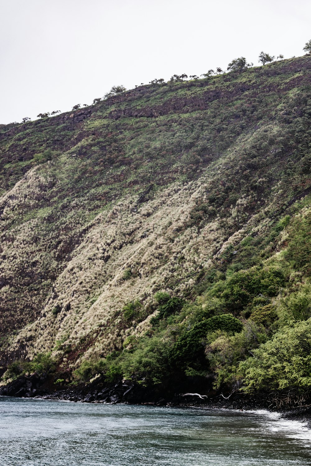 una ladera de montaña con un cuerpo de agua frente a ella