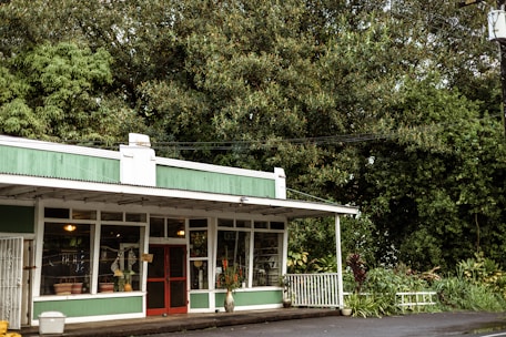 A quaint storefront with a green and white exterior situated in a lush, wooded area. The building features large windows displaying various items, suggesting it may be a shop. A red door is prominently centered, and a small white fence lines the side. The surrounding foliage is dense and vibrant, adding to the serene atmosphere.