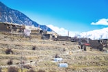 A mountainous landscape showcases traditional stone houses nestled on terraced slopes. The village is surrounded by snow-capped mountains under a bright blue sky. Colorful prayer flags add vibrancy to the rustic scenery, and there are people walking along a path among the terraces.