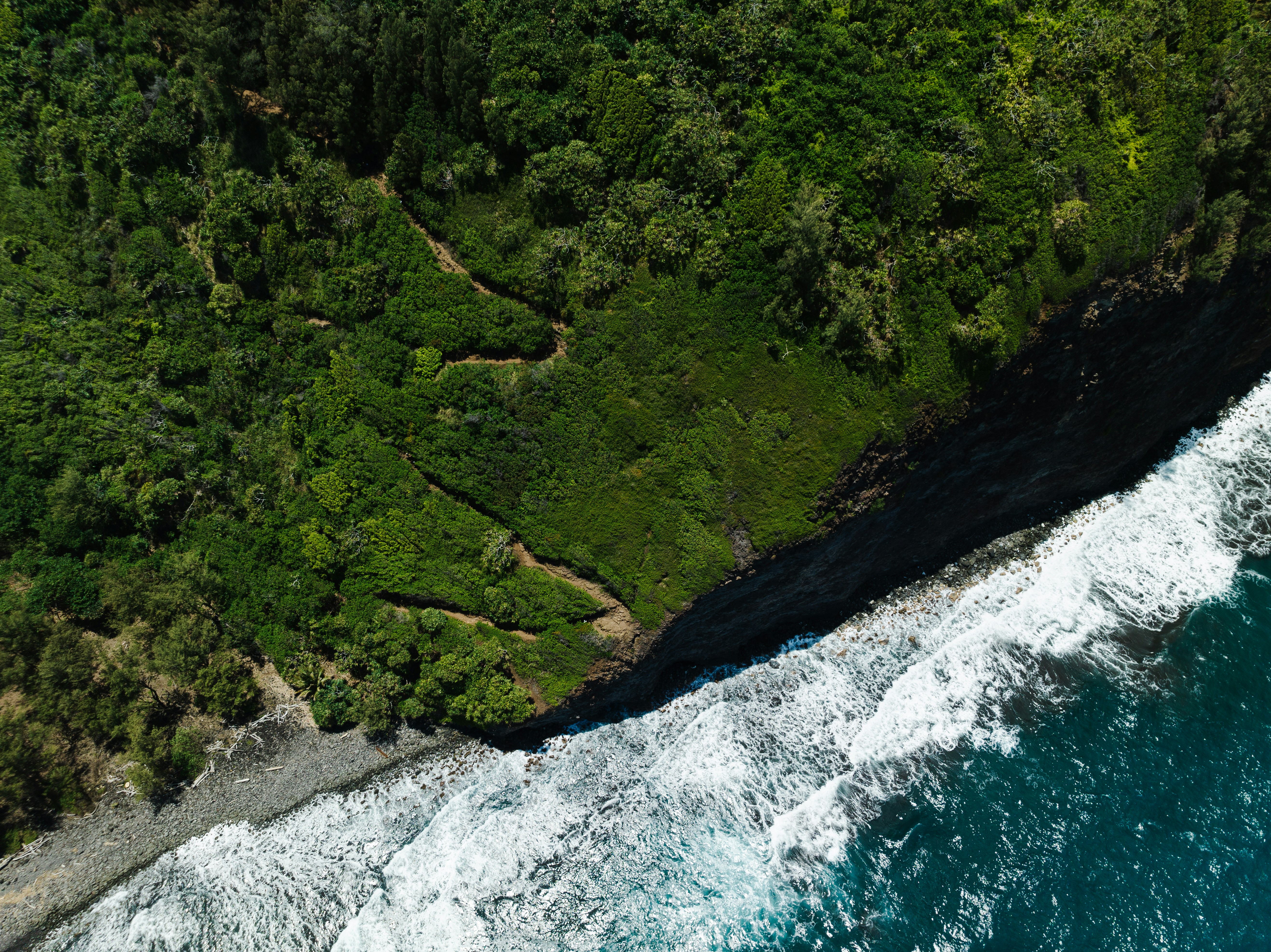 Photo by joshwithers