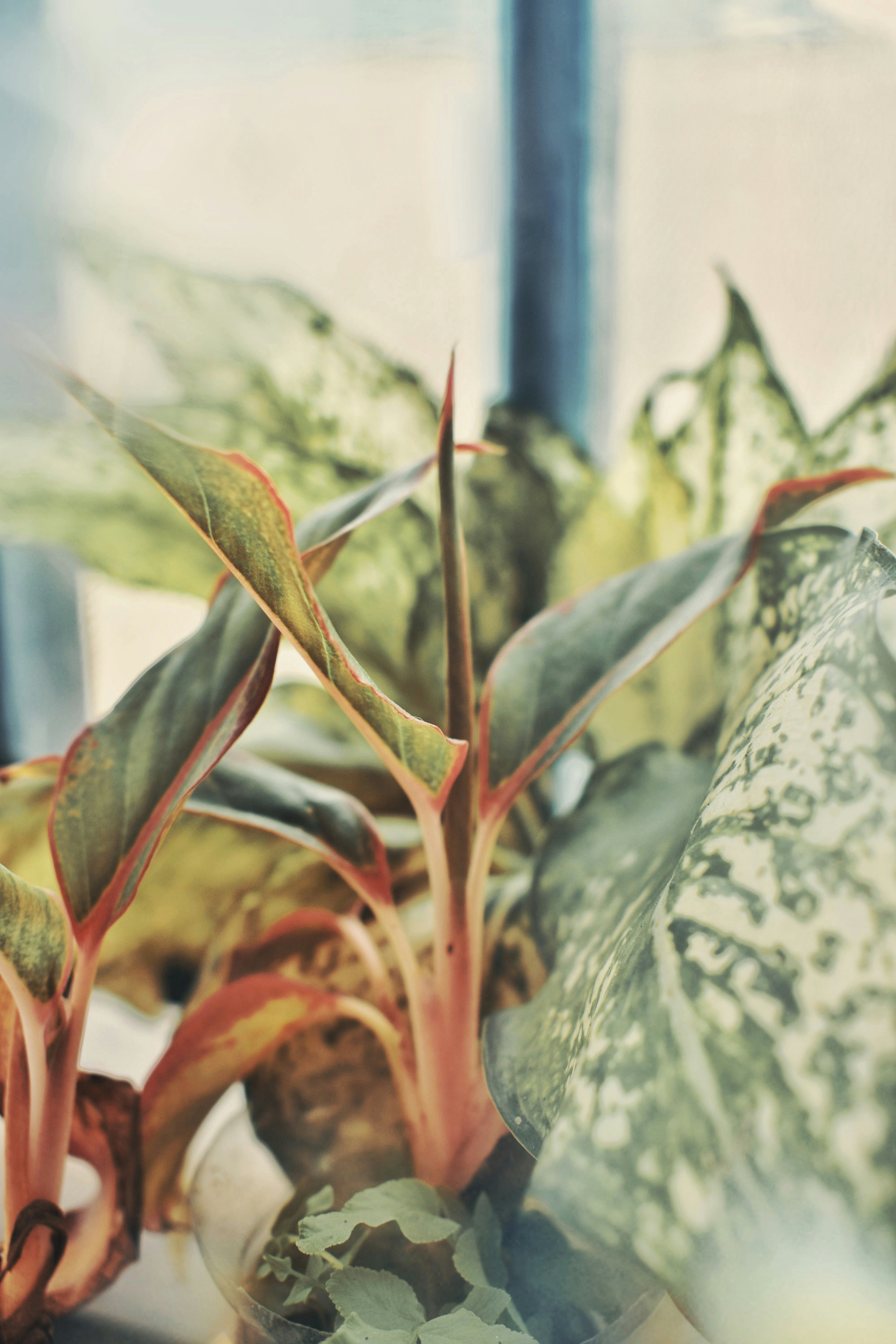 Photo by photodaribelva