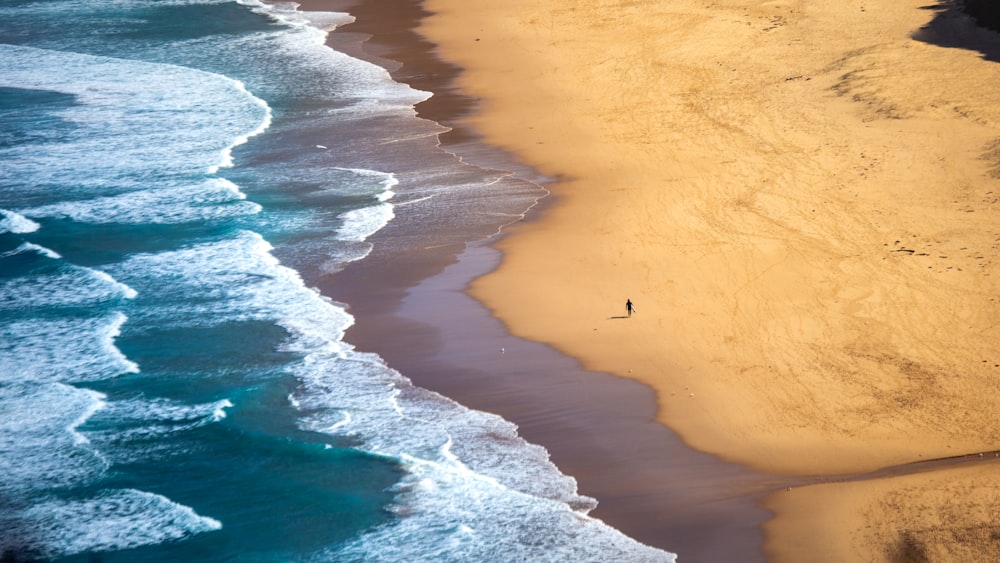 an aerial view of a beach and ocean