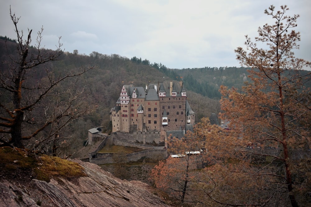 a castle in the middle of a forest