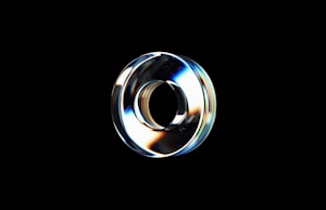 Fidget Ring