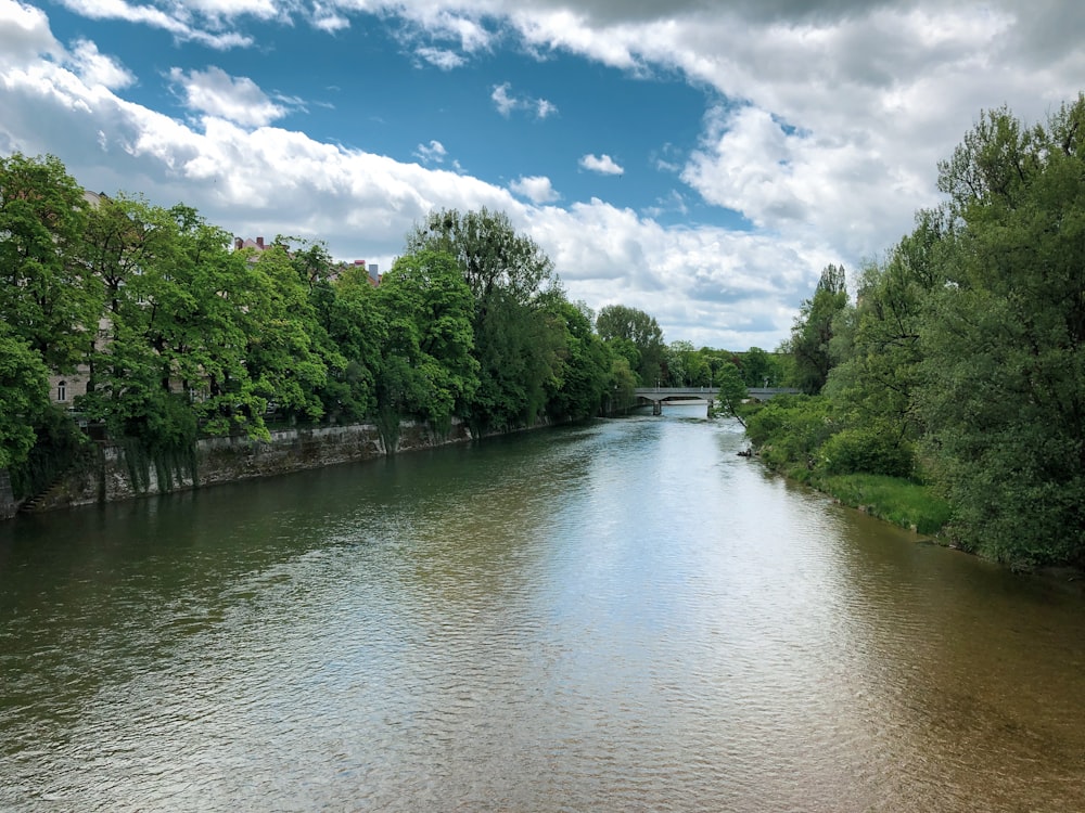 a river running through a lush green forest