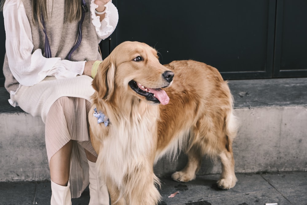 a woman sitting on a bench next to a dog