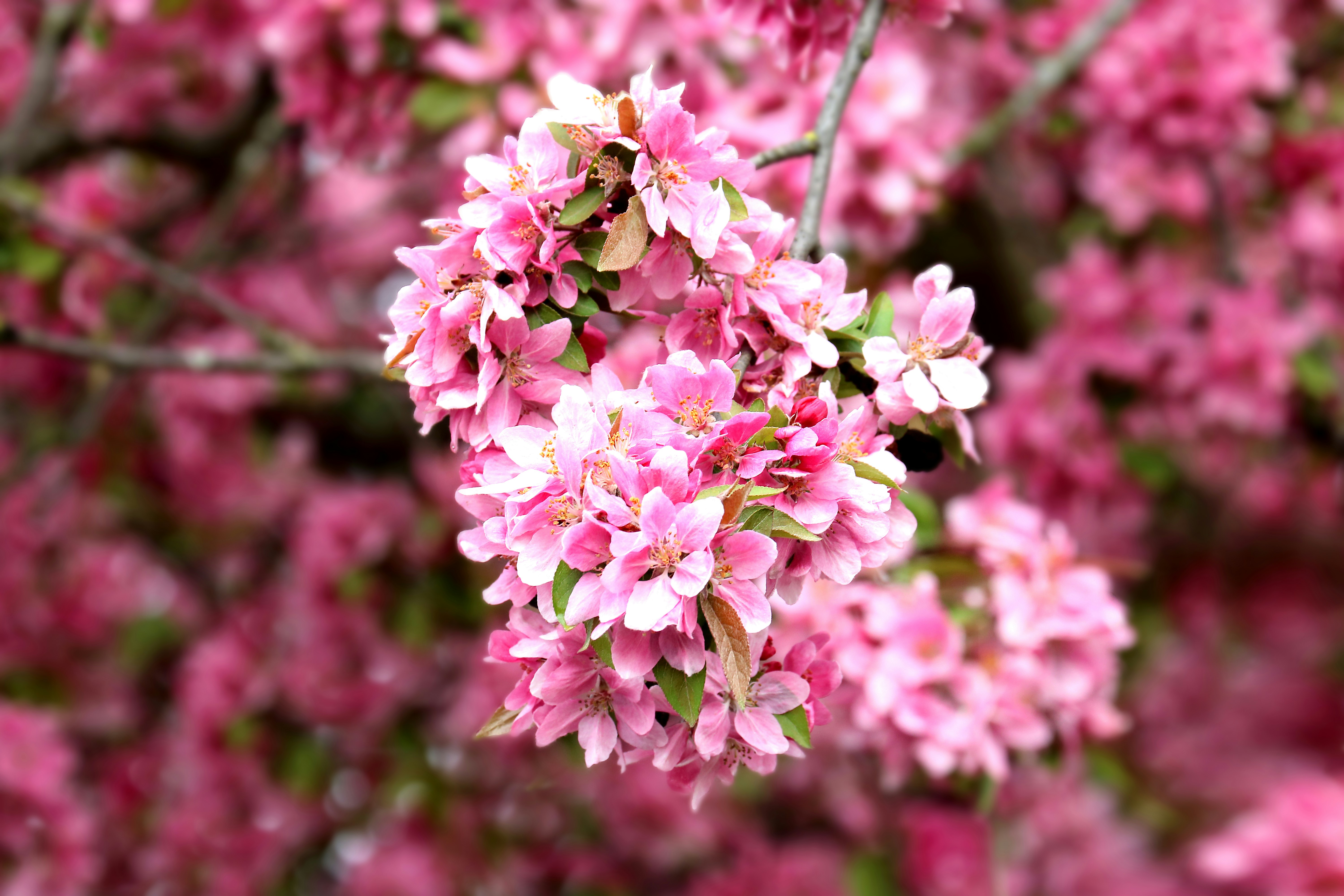 Photo by peterm4988372