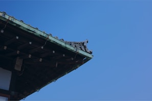 Detailed visual of a roof edge with crisp blue paint work complementing the building.