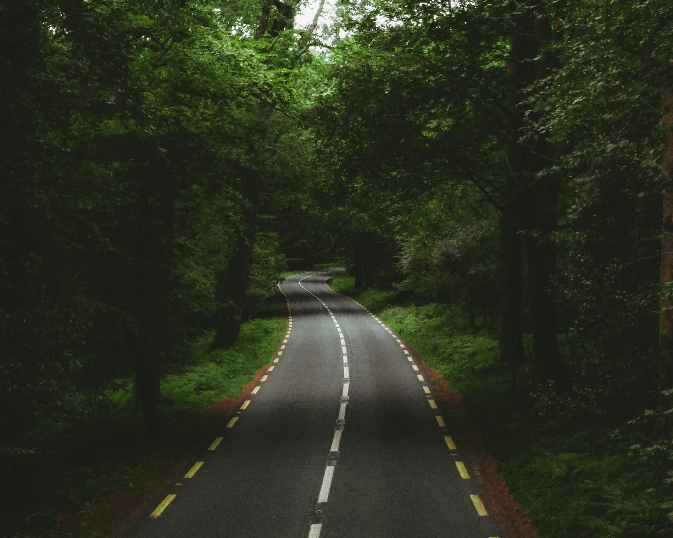 Photo by _picturesbyluke_