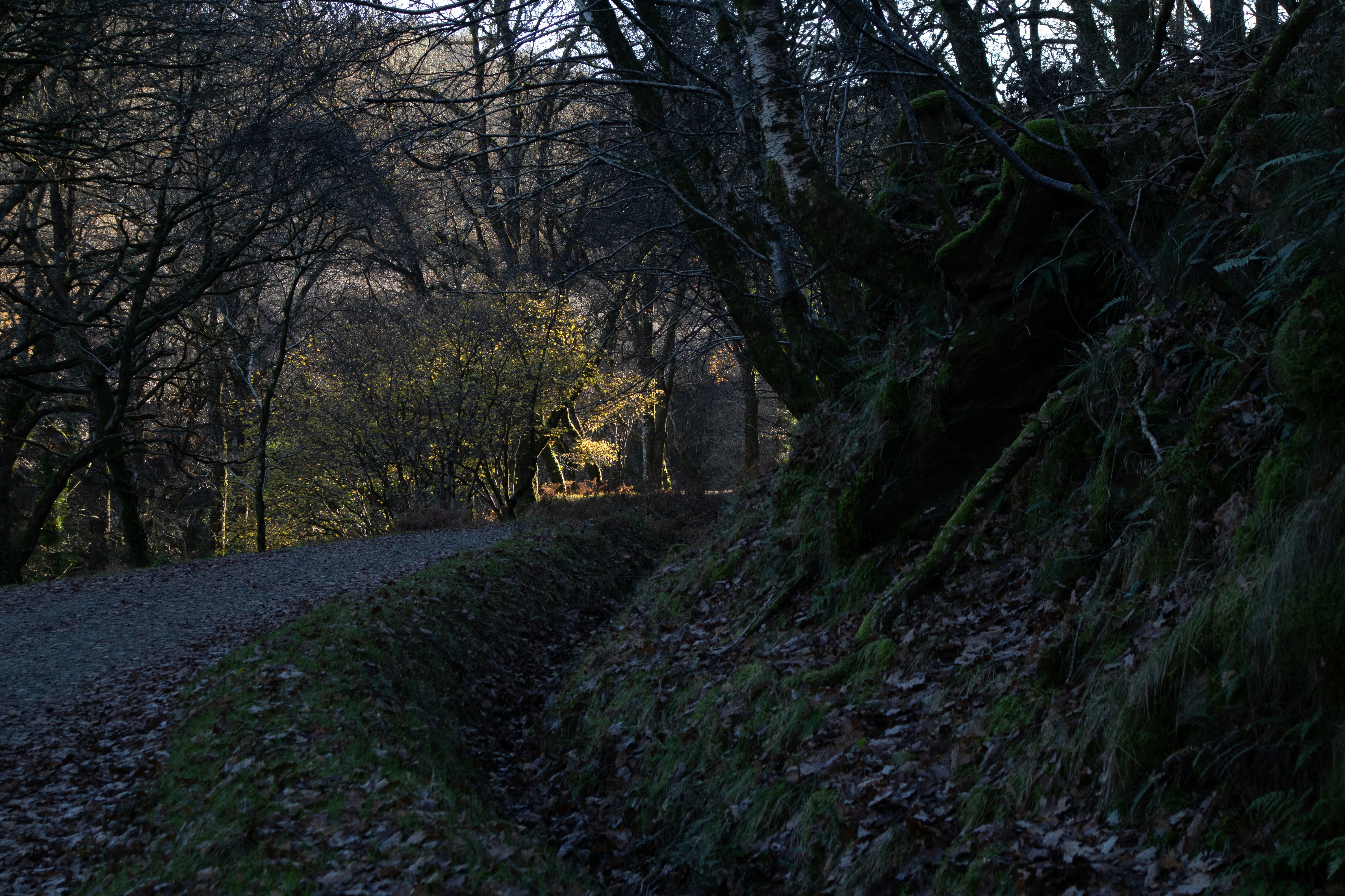 Photo by _picturesbyluke_