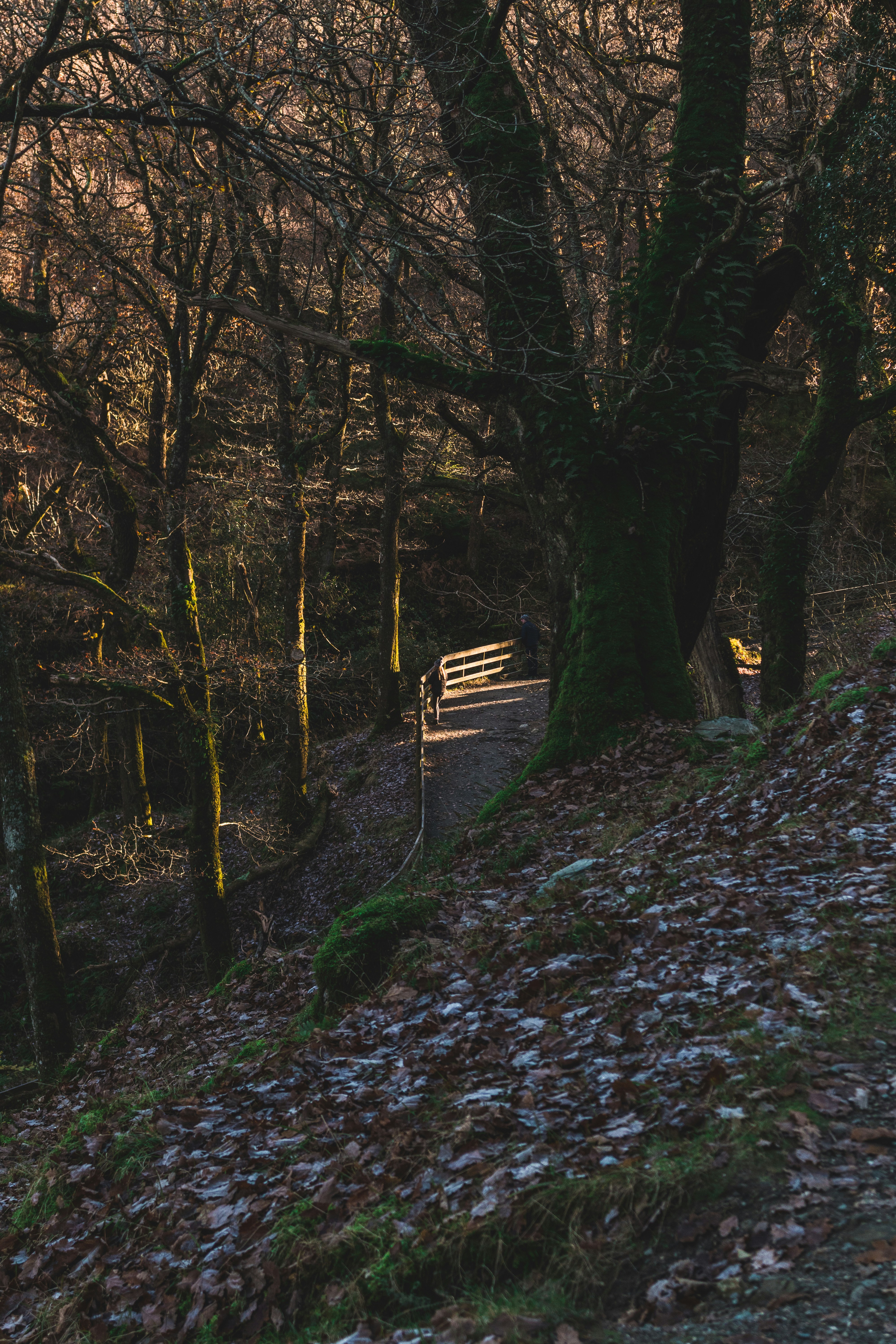 Photo by _picturesbyluke_