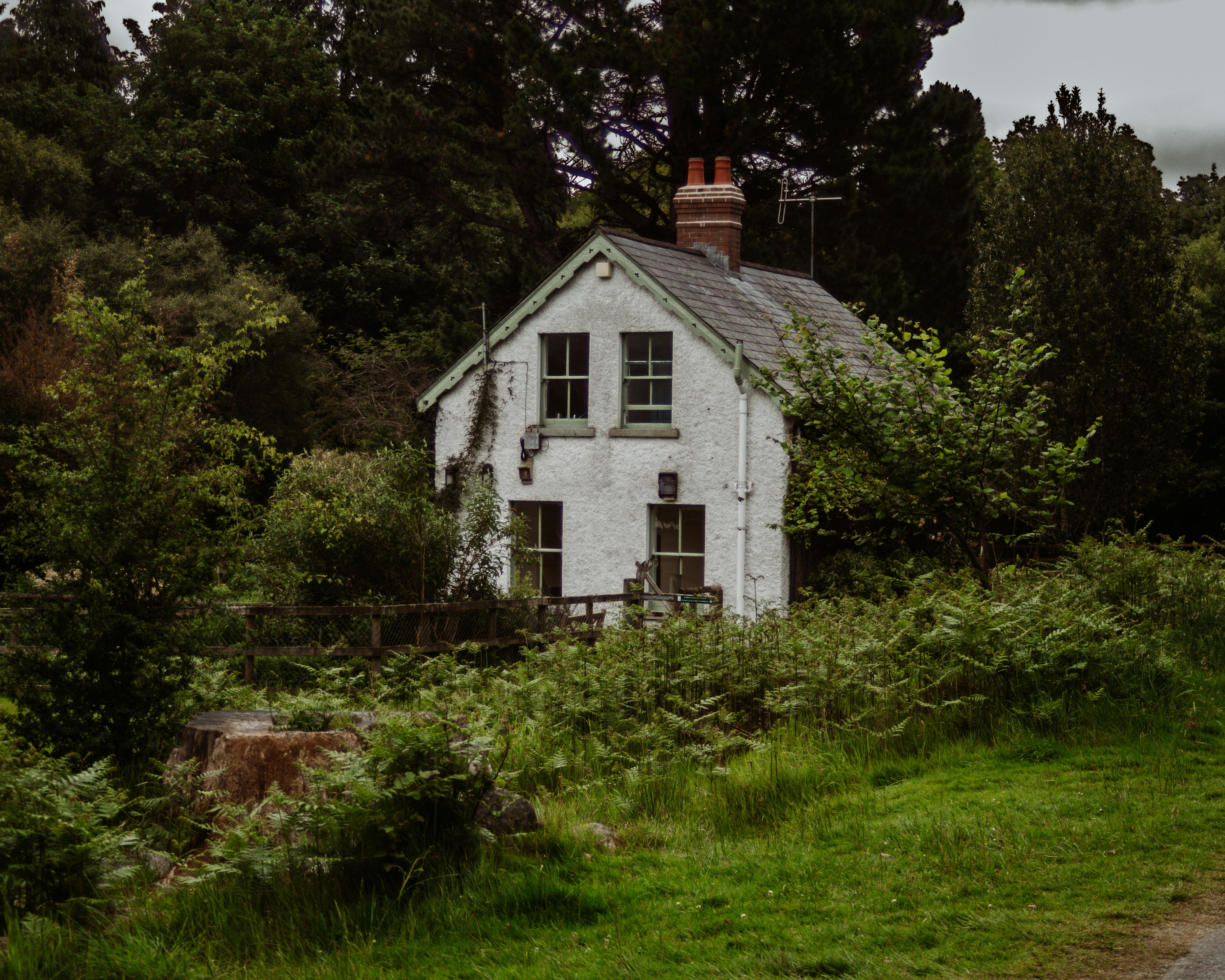 Photo by _picturesbyluke_