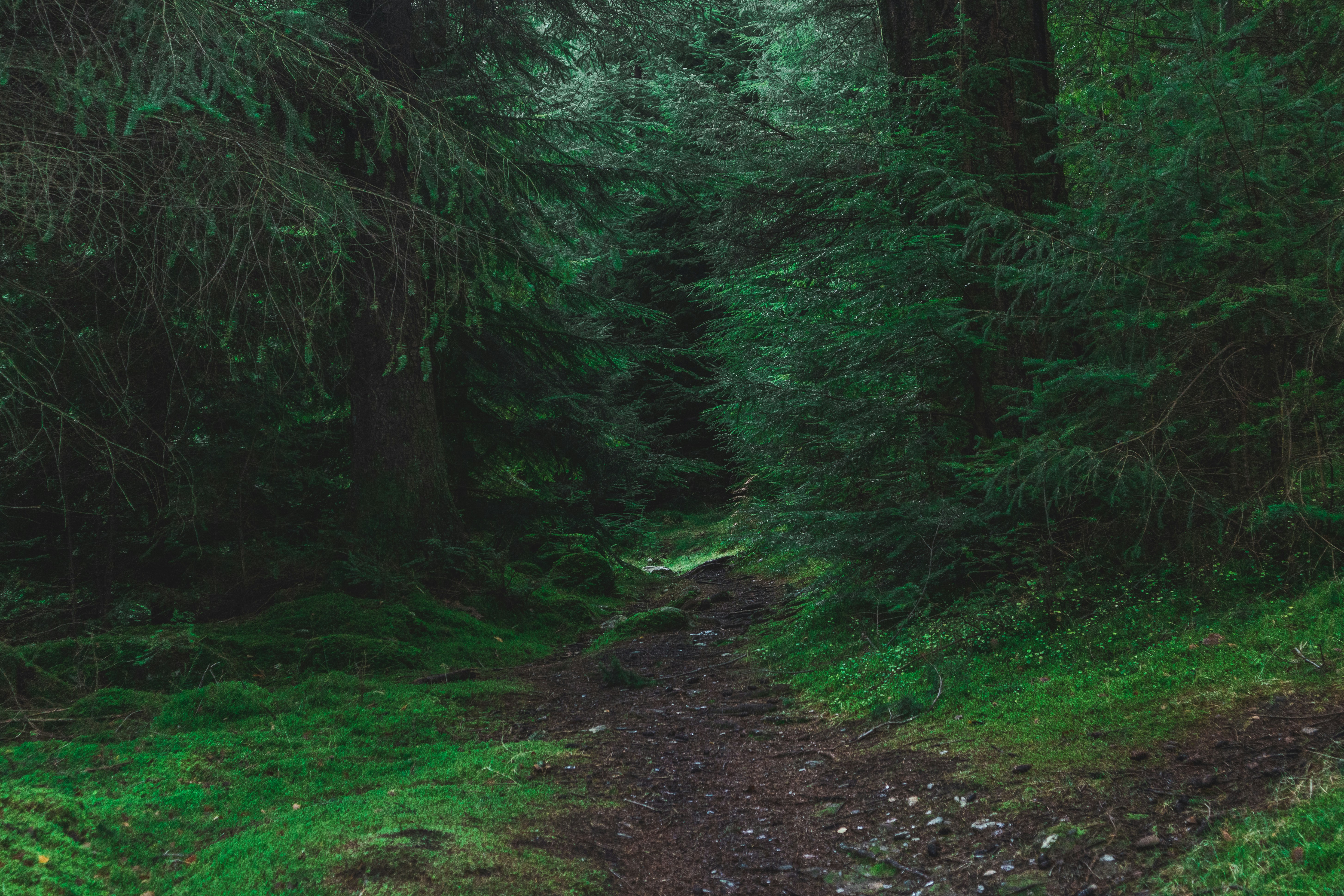 Photo by _picturesbyluke_