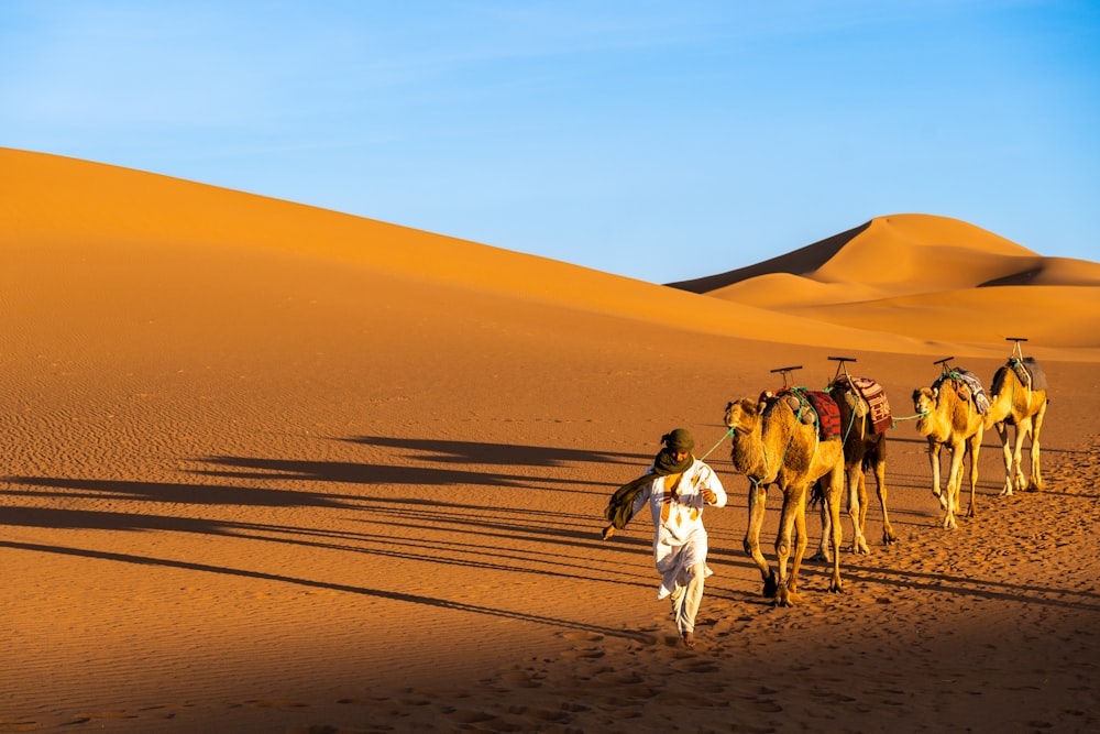a man leading a group of camels across a desert