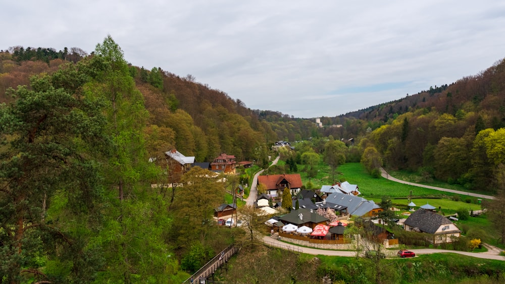 an aerial view of a village surrounded by trees