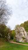 A natural path winds through a lush green forest, flanked by large, rugged rock formations covered in moss. In the background, the sky is partly cloudy, and deciduous trees without leaves blend with trees having fresh green foliage.