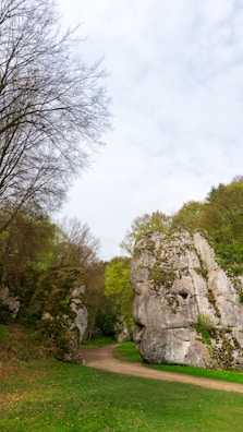 A natural path winds through a lush green forest, flanked by large, rugged rock formations covered in moss. In the background, the sky is partly cloudy, and deciduous trees without leaves blend with trees having fresh green foliage.