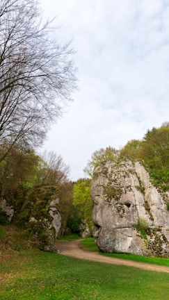 A natural path winds through a lush green forest, flanked by large, rugged rock formations covered in moss. In the background, the sky is partly cloudy, and deciduous trees without leaves blend with trees having fresh green foliage.