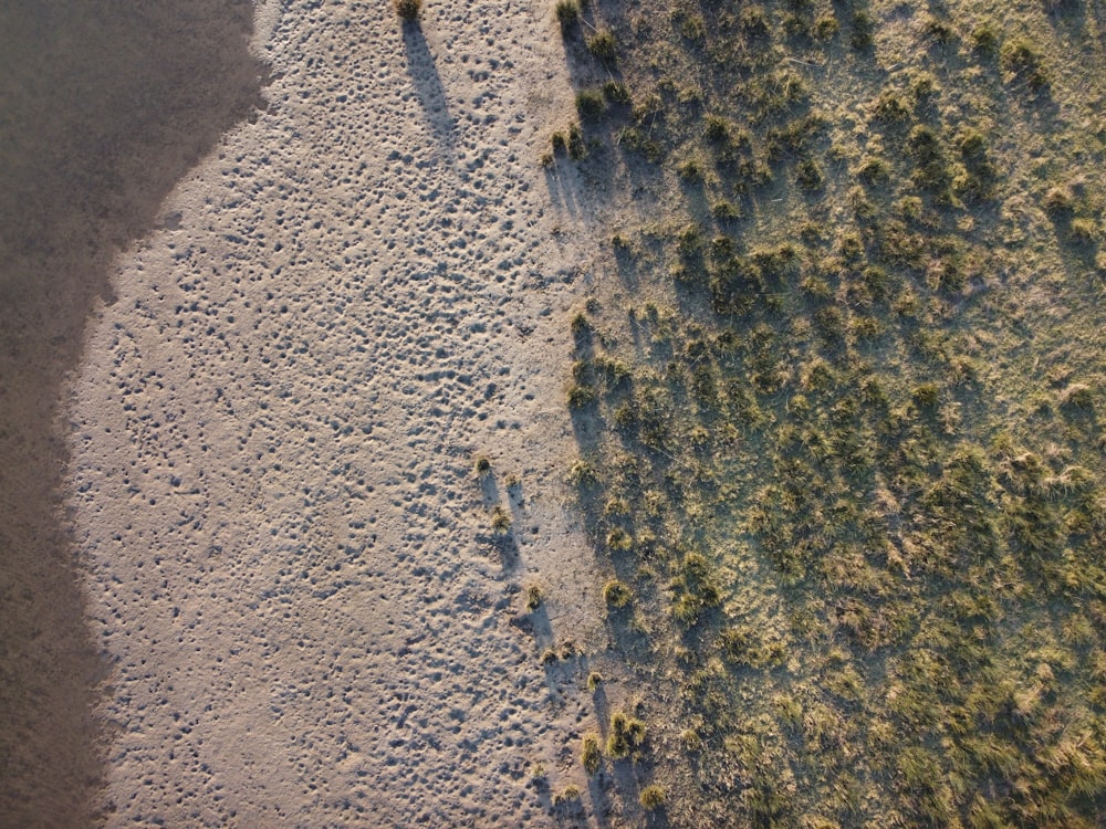 a bird's eye view of a sandy beach