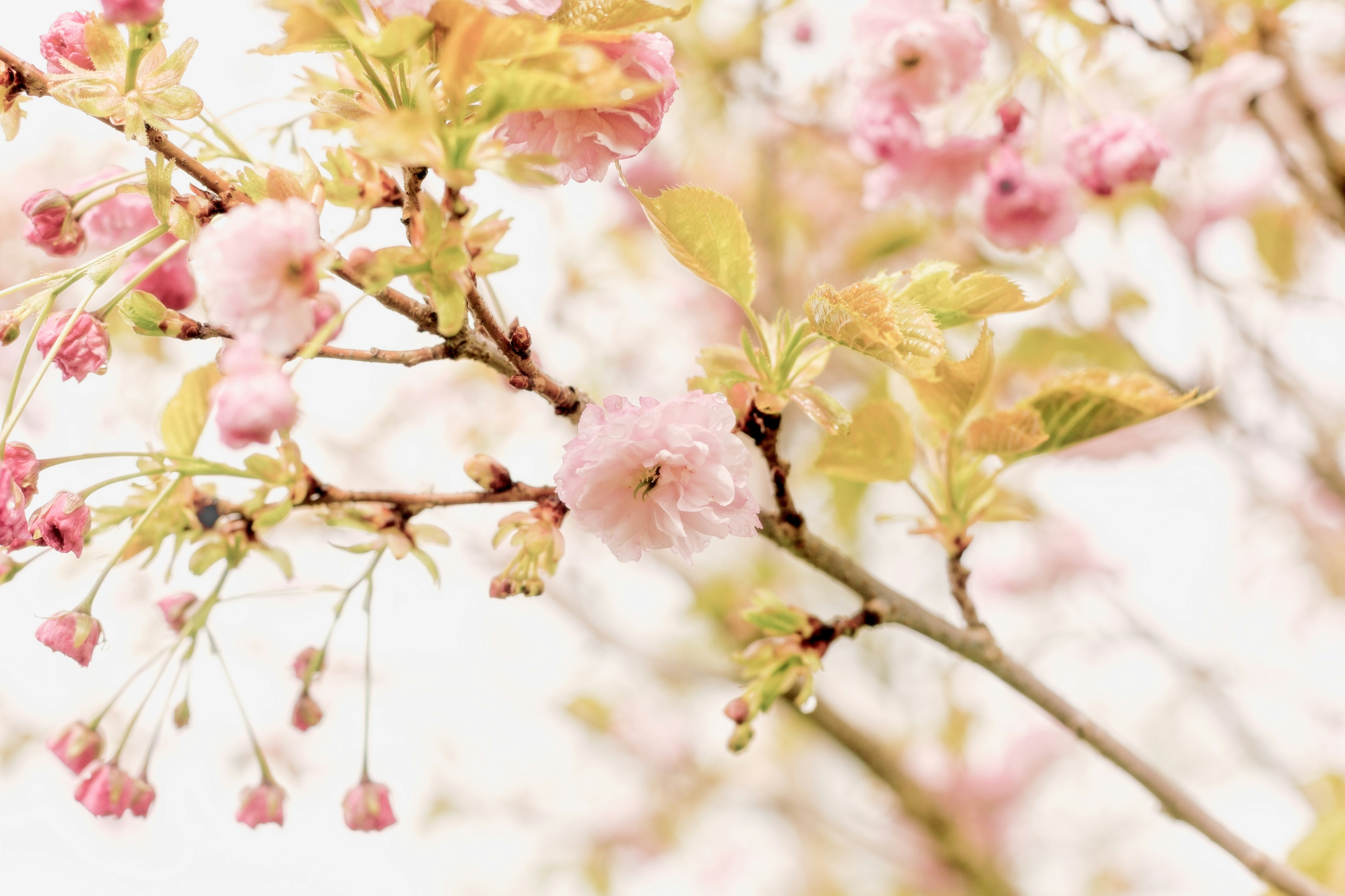 Photo by nataliekinnear