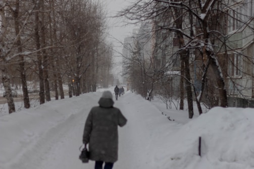 Snow-covered Canadian neighborhood with people walking in winter coats.