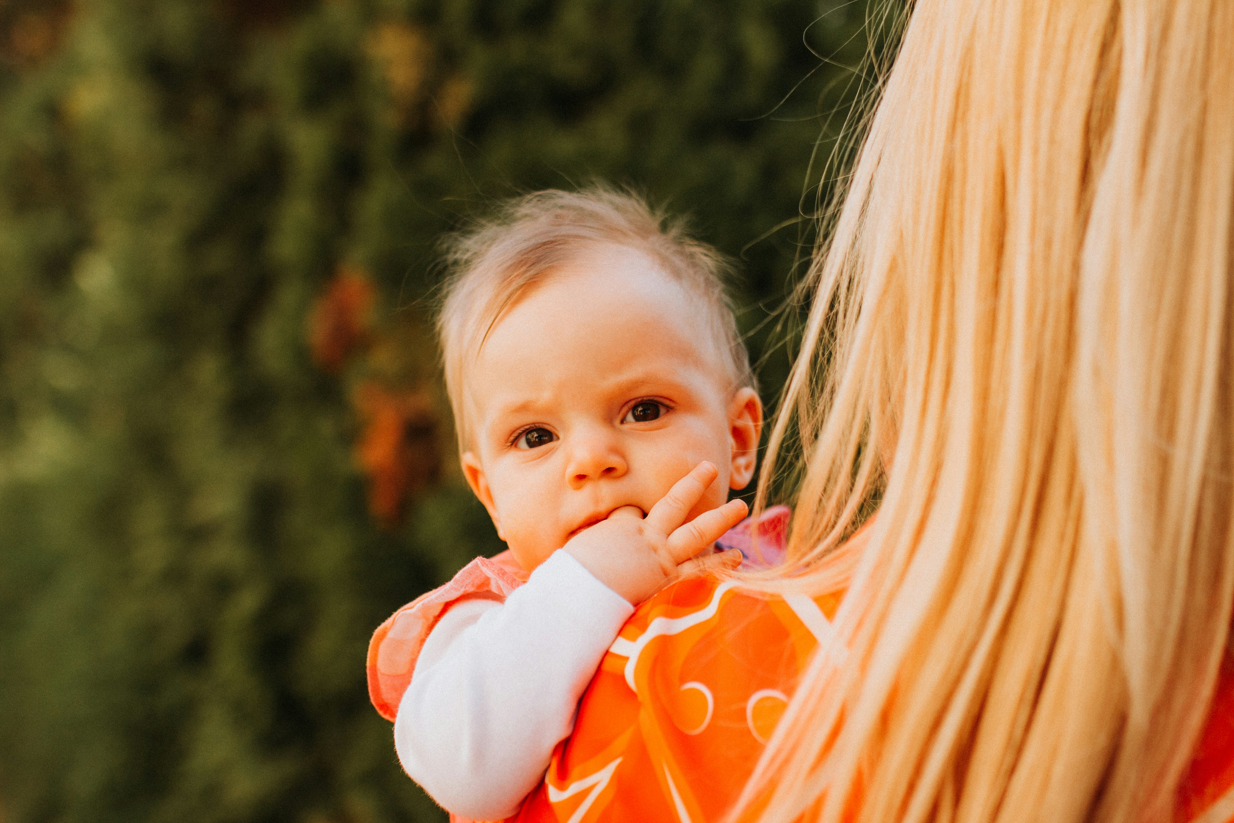 Photo by tamaragovedarov