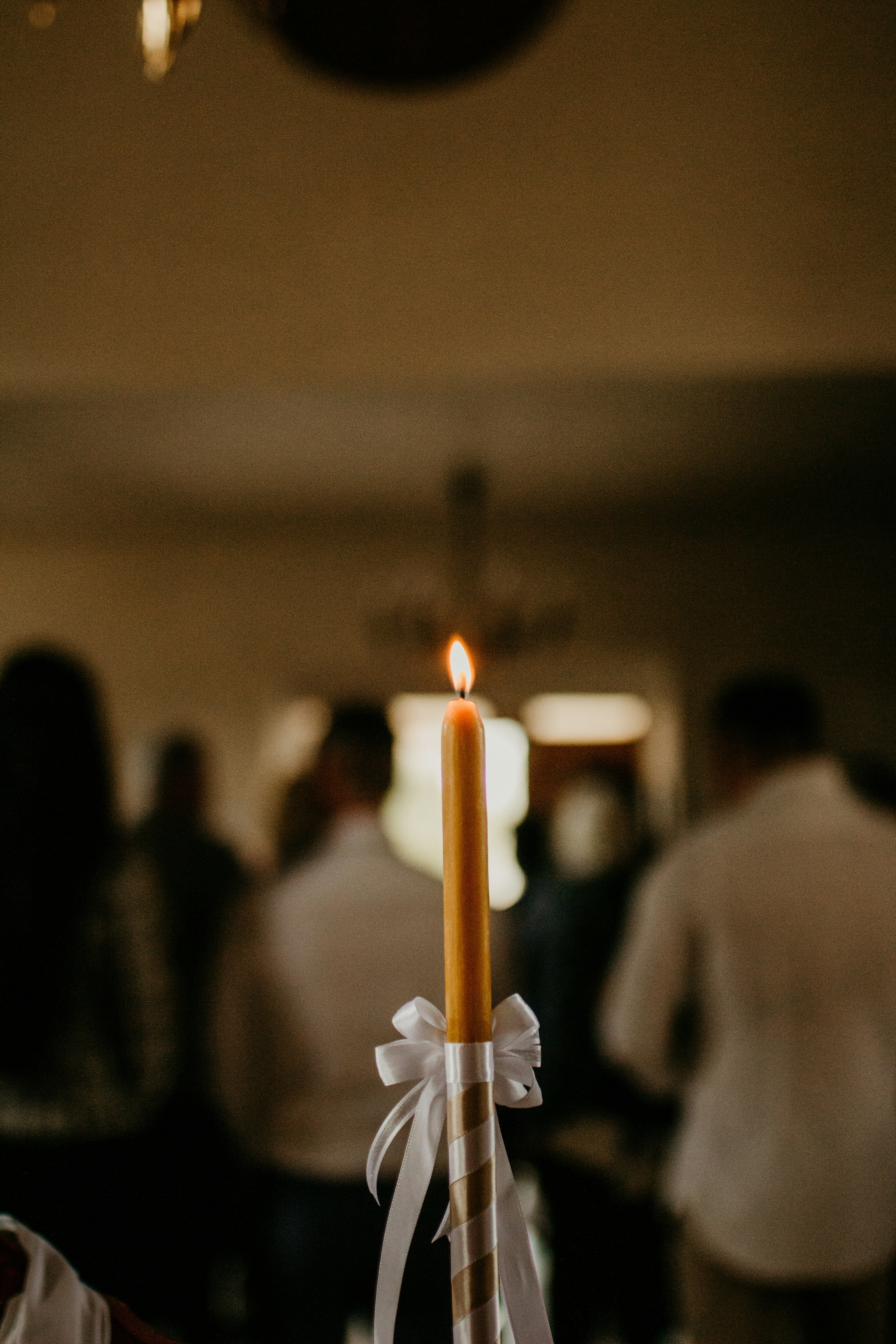 Photo by tamaragovedarov