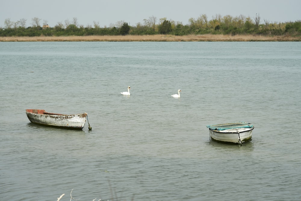 a couple of boats floating on top of a lake