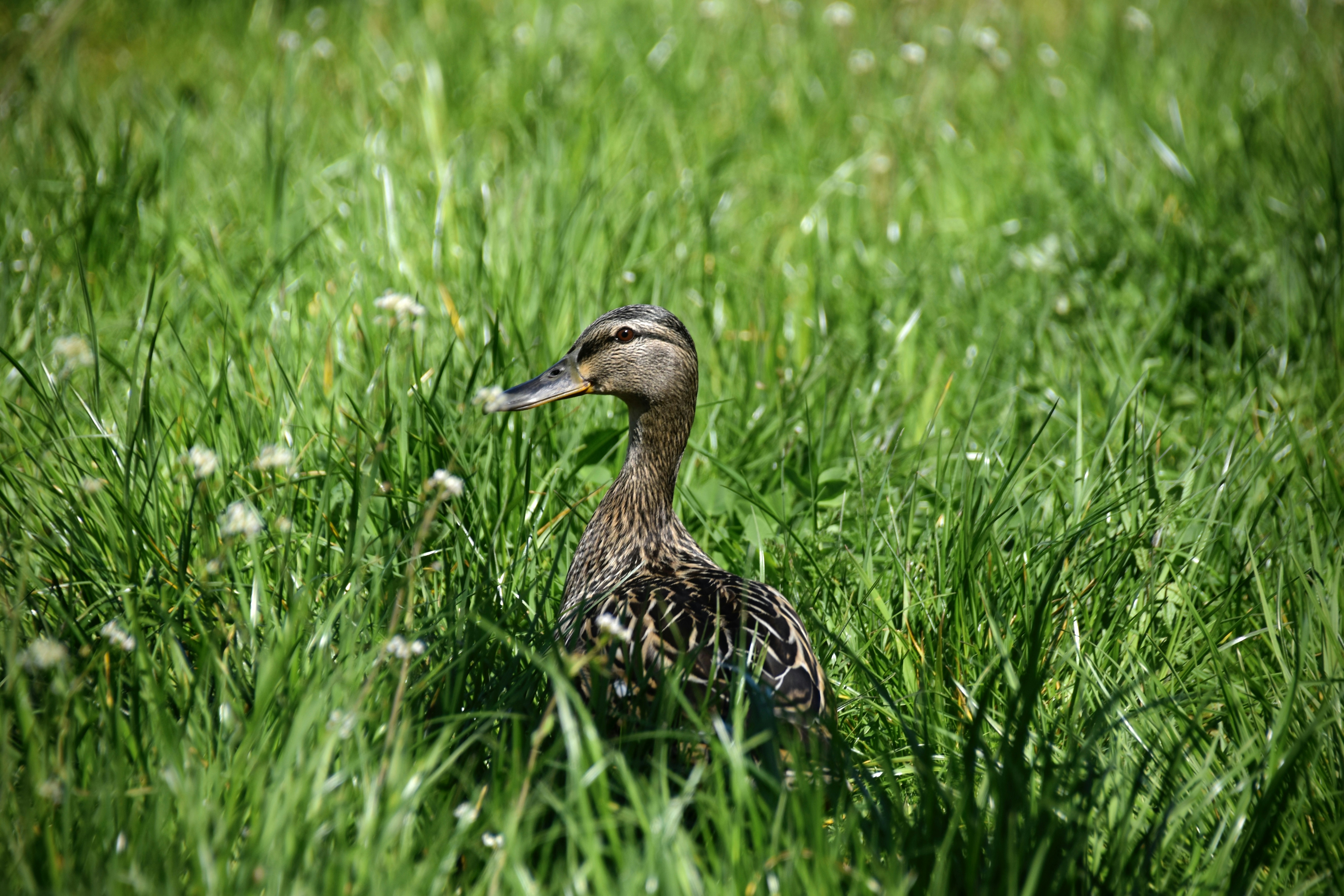 Photo by jessica_kmr