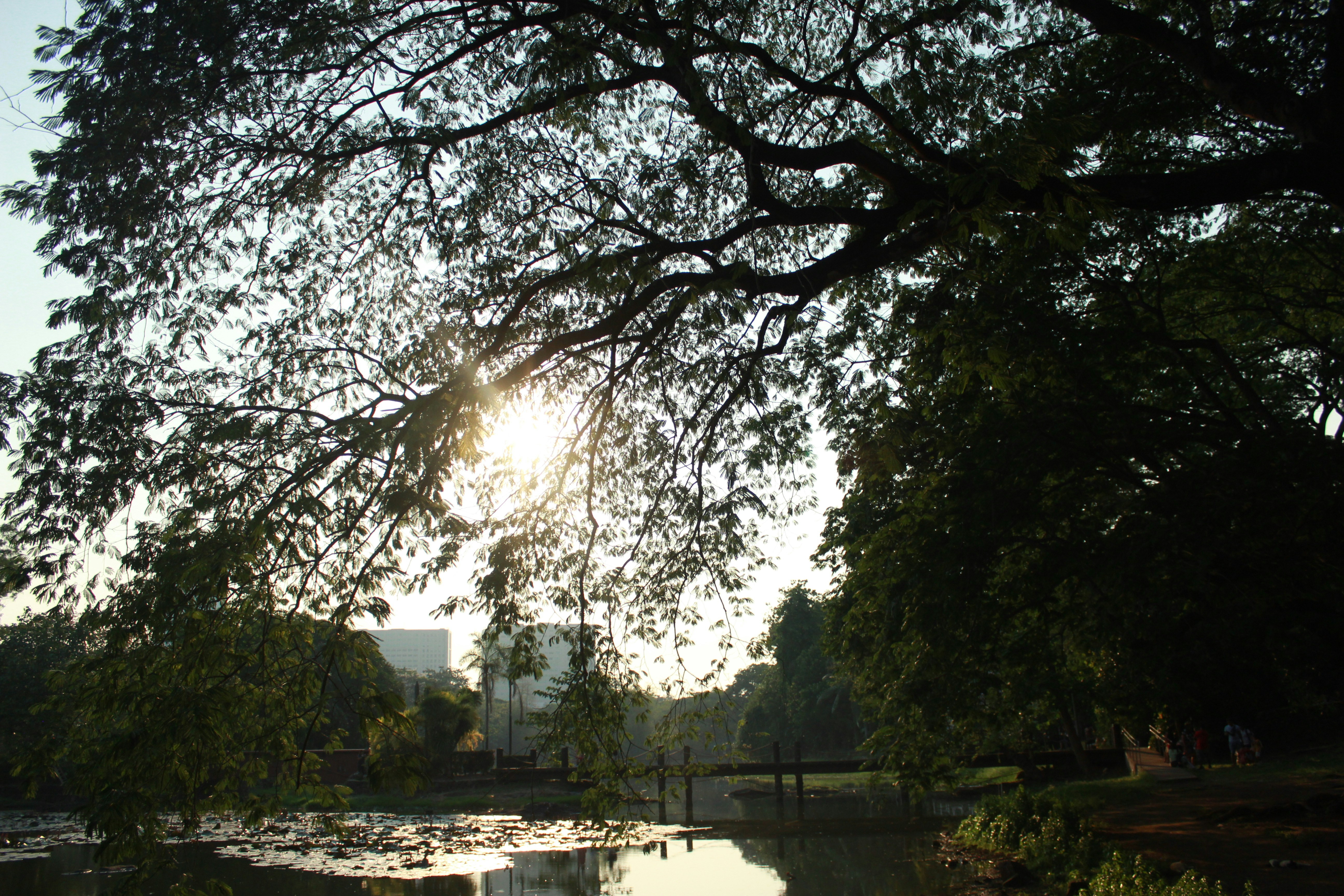 Photo by myboholifeph