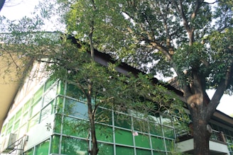 A building with a modern architectural design featuring large green-tinted glass windows is partially obscured by tall, lush trees with dense foliage. The structure has a sloping roof and an air conditioning unit visible on one side.