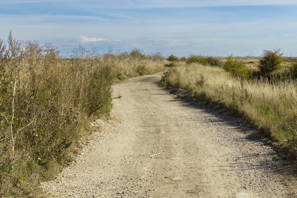 a dirt road in the middle of a field