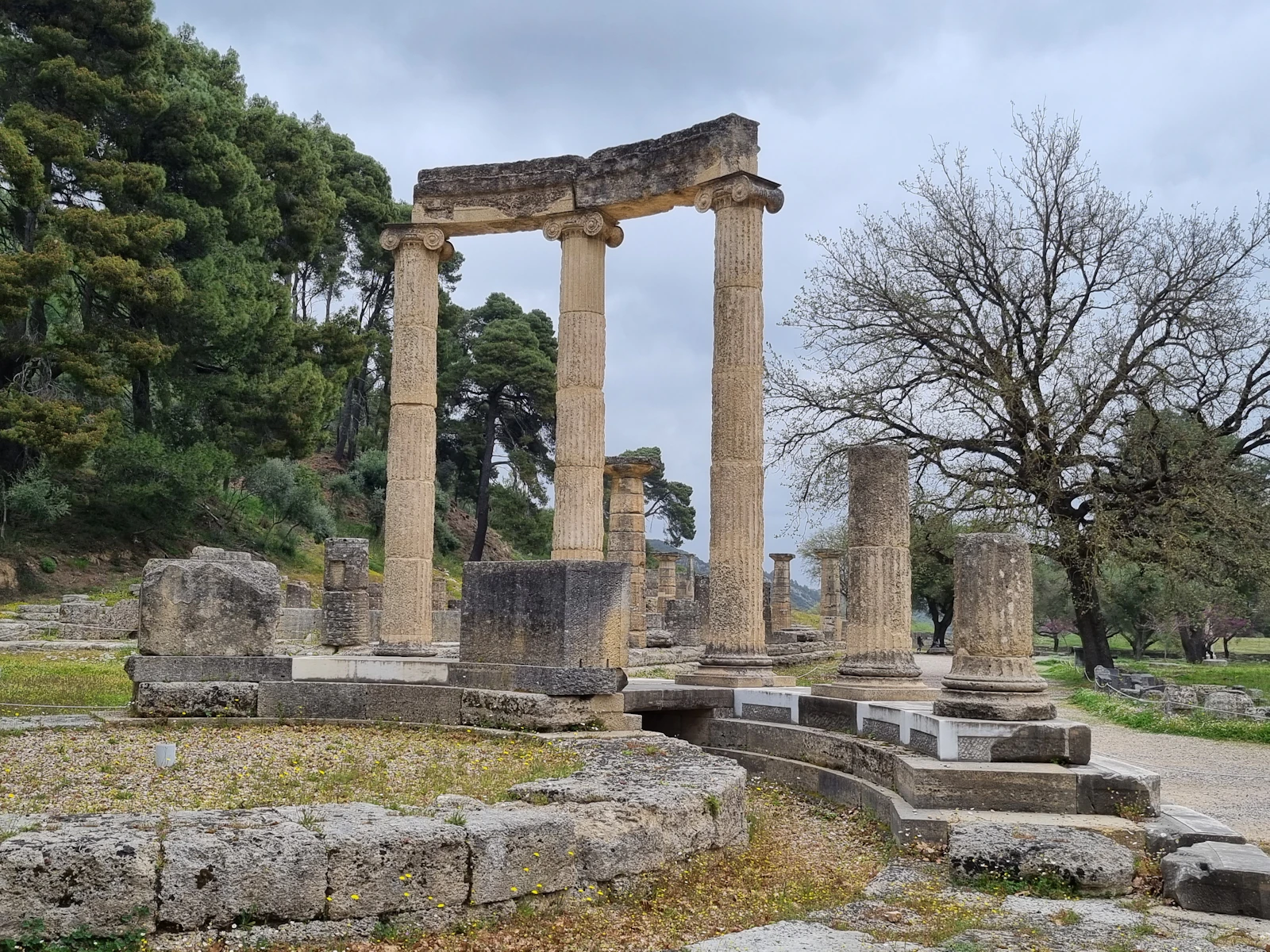The re-erected Ionic columns of the Philippeion at Ancient Olympia