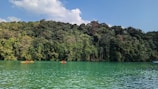 Travelers kayaking on a serene lake surrounded by rainforest