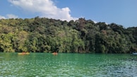 Adventurers kayaking on a clear river surrounded by lush forest.