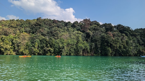 Adventurers kayaking in a crystal-clear river.