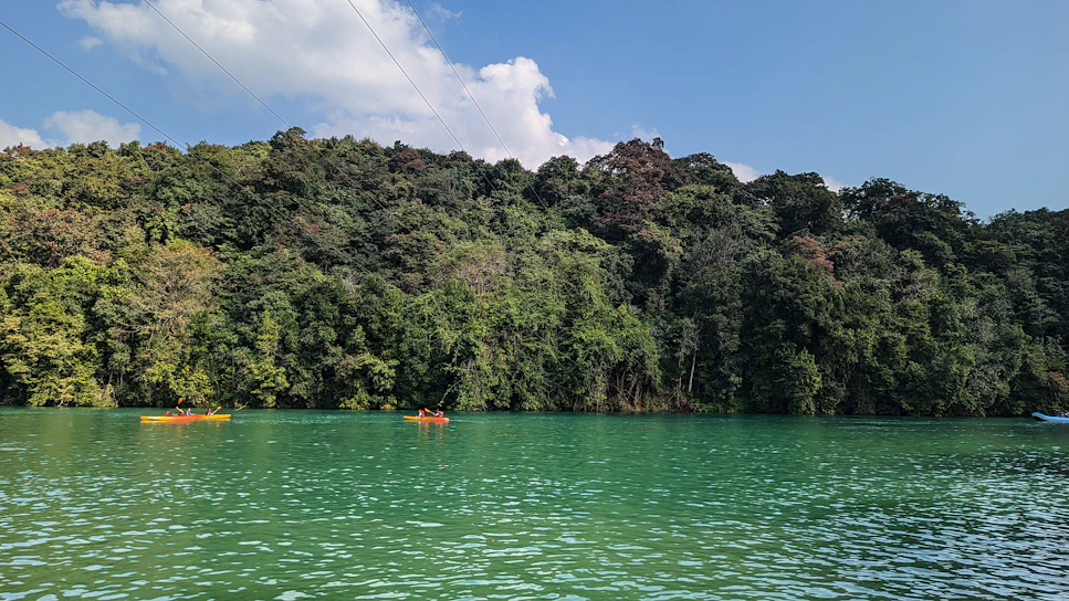A vibrant shot of kayakers navigating crystal-clear river rapids surrounded by lush green forests.