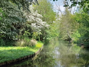 A serene landscape of Eureka Springs, showcasing lush greenery and a tranquil river.
