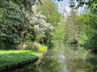 A serene landscape of Eureka Springs, showcasing lush greenery and a tranquil river.