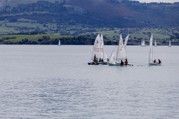 Several sailboats with people onboard are navigating a calm body of water. The scene is set against a backdrop of lush green hills and a distant shoreline. Additional sailboats are visible in the background, spread across the water.