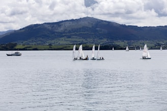 Several small sailboats with people on board are seen floating on a calm body of water, with a larger motorboat nearby. In the background, a lush, hilly landscape is visible under a cloudy sky.