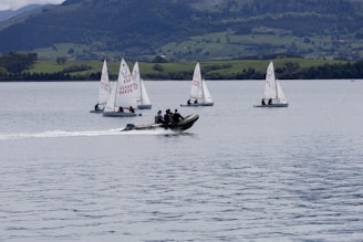 Several small sailboats with white sails float on a calm body of water, accompanied by a motorboat carrying several people. In the background, there are lush green hills and a mountainous landscape under a partly cloudy sky.