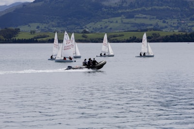 Several small sailboats with white sails float on a calm body of water, accompanied by a motorboat carrying several people. In the background, there are lush green hills and a mountainous landscape under a partly cloudy sky.
