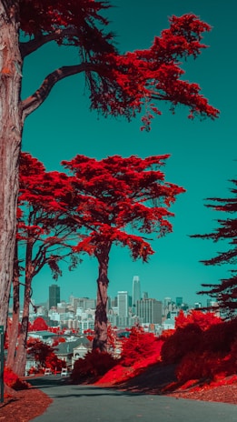 A surreal landscape with bright red trees framing an urban skyline. The city buildings are visible in the background under a vivid turquoise sky. The composition creates a striking contrast between the natural elements and the cityscape.