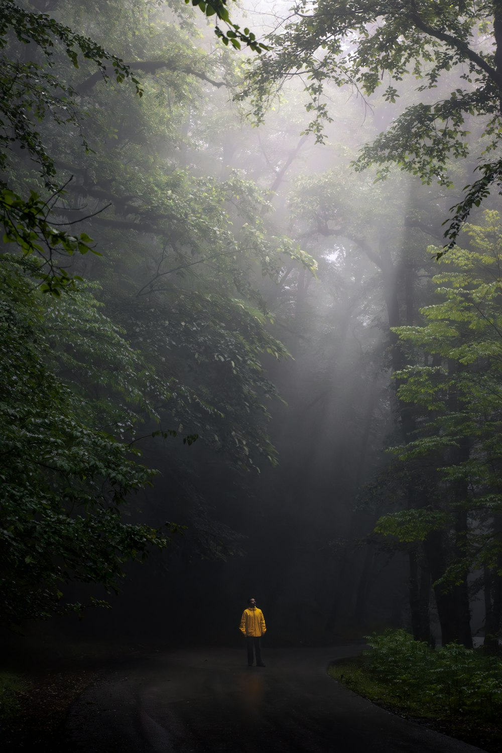 a person in a yellow jacket walking down a road in the woods