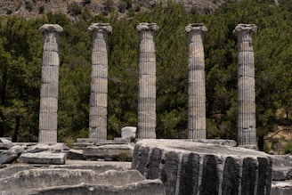 a row of stone pillars sitting next to a forest