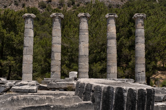 a row of stone pillars sitting next to a forest