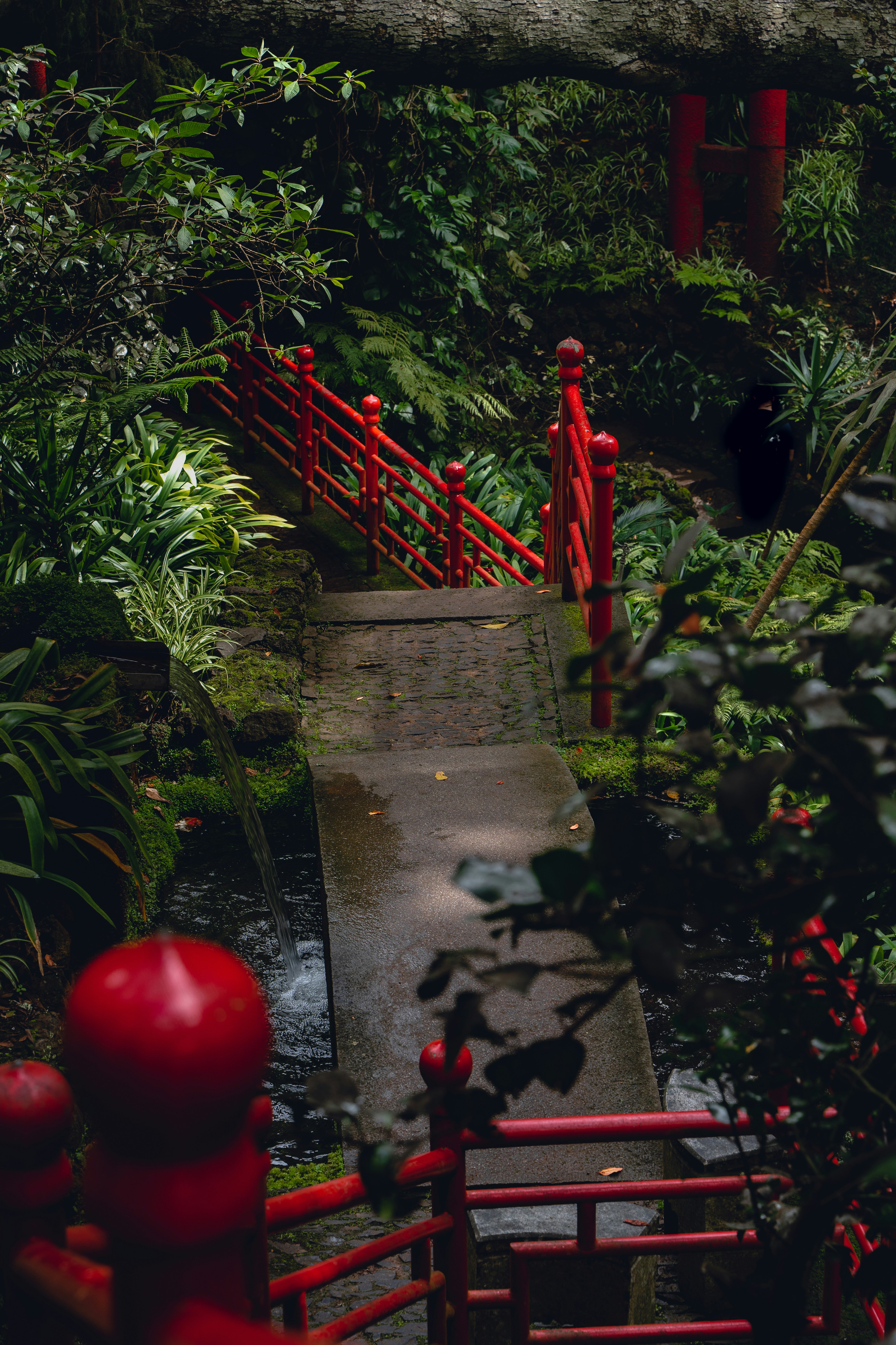 a red bridge in the middle of a lush green forest in monte palace madeira